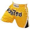 FIGHTERS - Thai Shorts / Classique